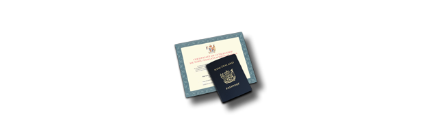 passport and papers